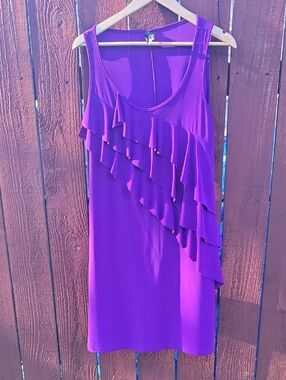 Nic & Dom Purple Ruffle Sleeveless Women’s Dress XL